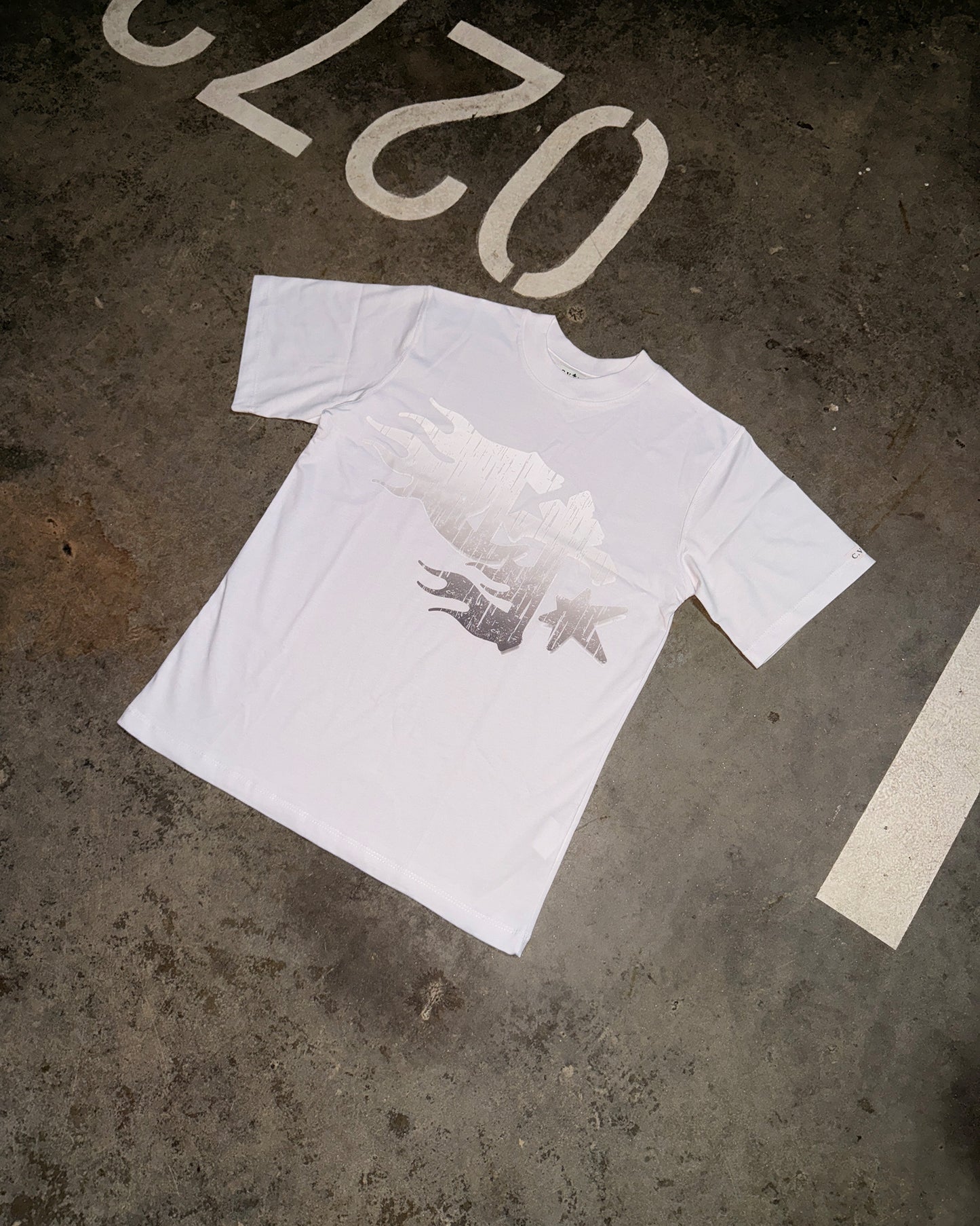 Faith in Flames Basic Tshirt CT